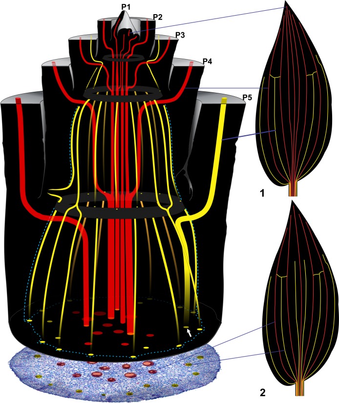 Fig 3