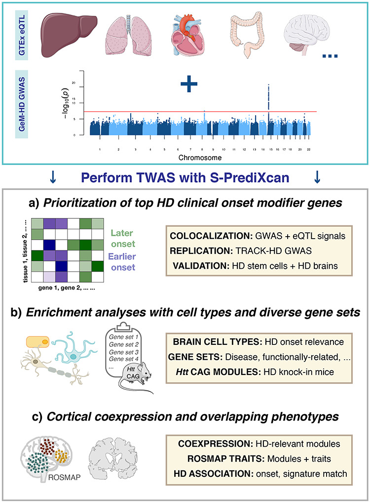 Graphical Abstract