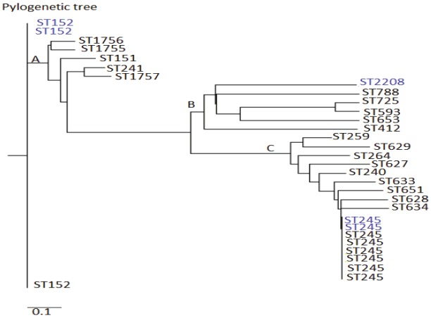 Figure 5