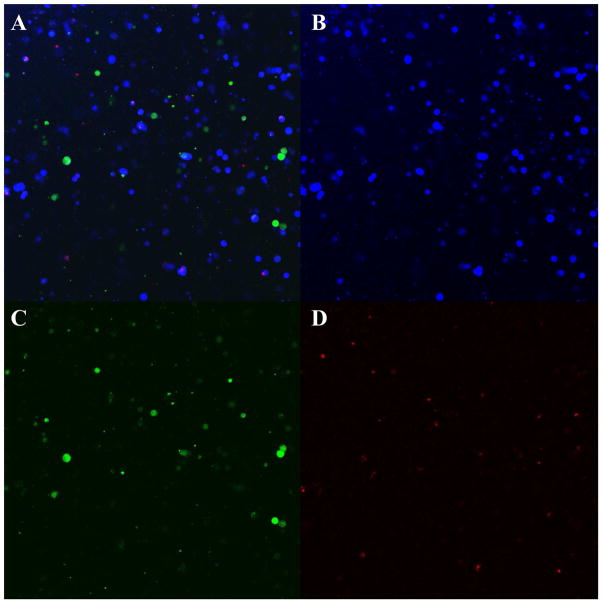 Fig. 9