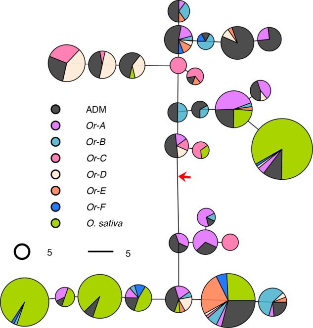 Figure 5.