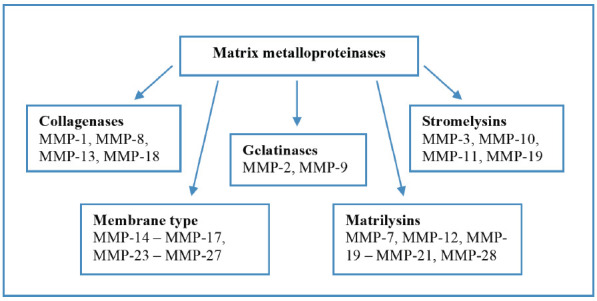 Fig. (1)