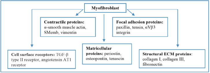 Fig. (2)