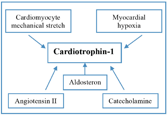 Fig. (3)