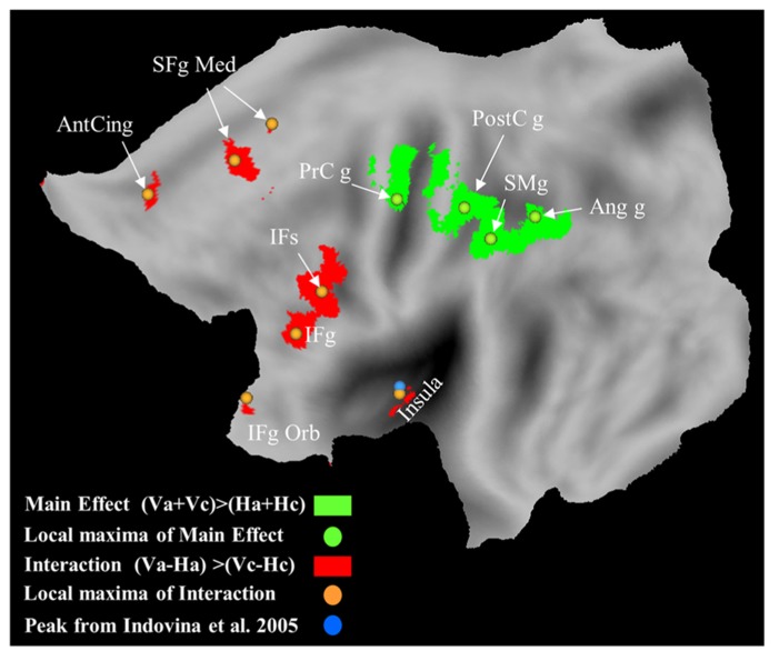 FIGURE 6