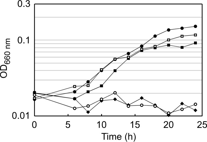 FIG 6