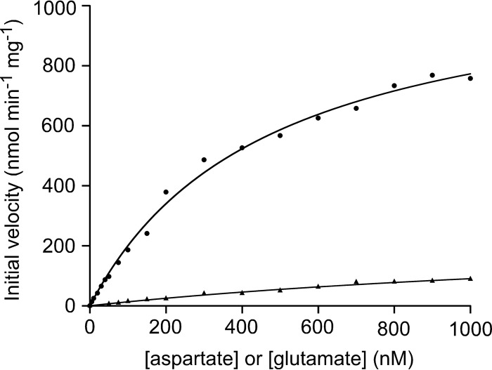 FIG 5