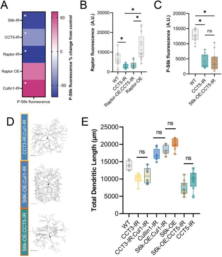 Figure 2: