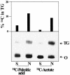 FIG. 8.