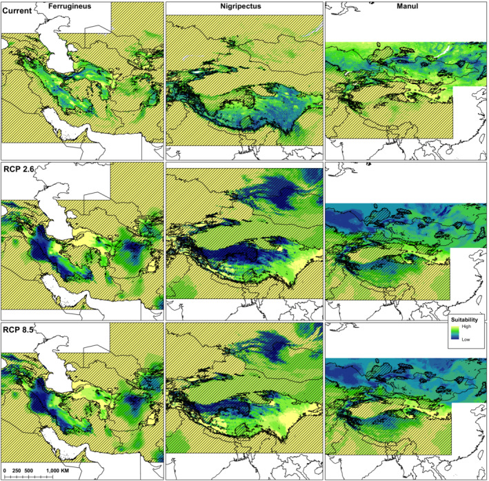 FIGURE 4