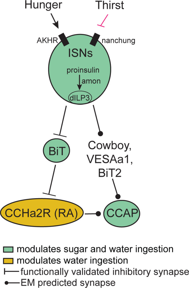 Figure 6: