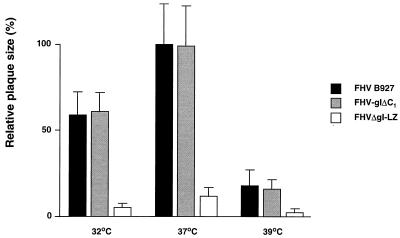 FIG. 7