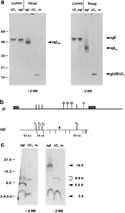 FIG. 5