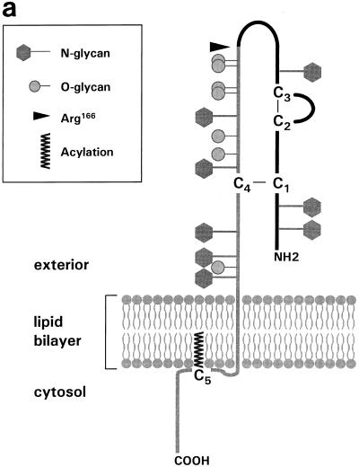 FIG. 8