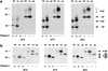 FIG. 6