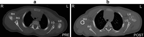 Fig. 7