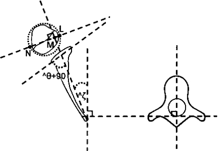 Fig. 5