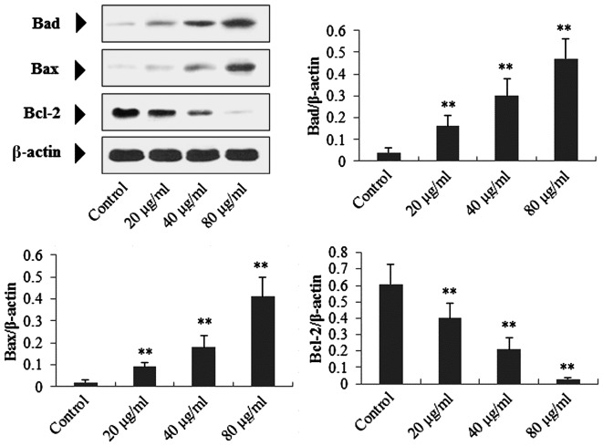 Figure 6.