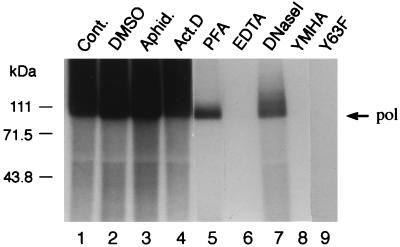 FIG. 6