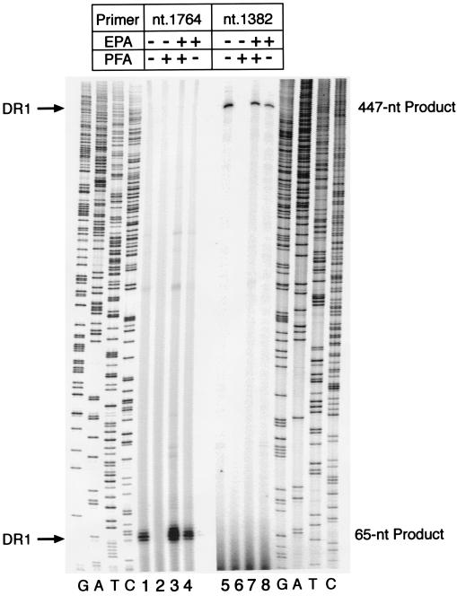 FIG. 8