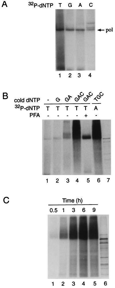 FIG. 7