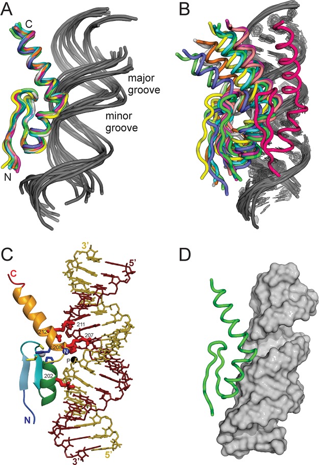 Figure 9