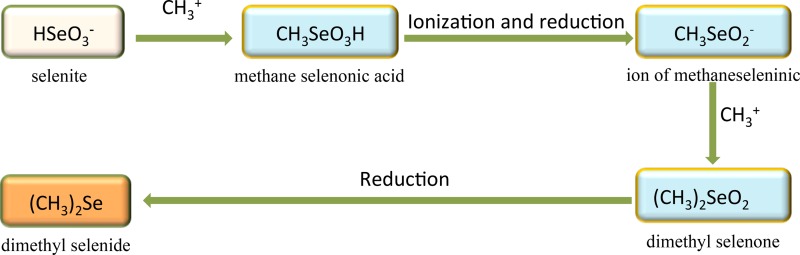 FIG 2