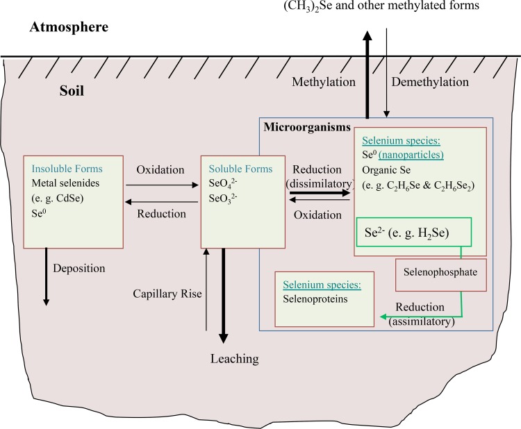 FIG 1