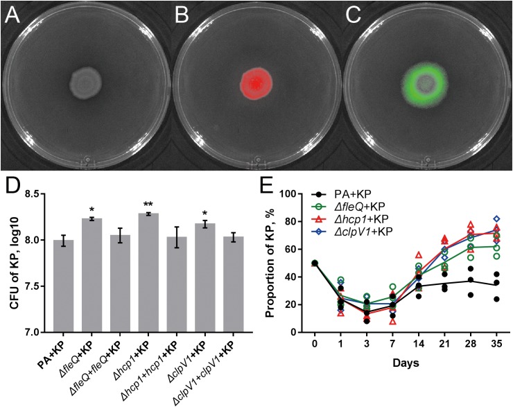 FIGURE 6