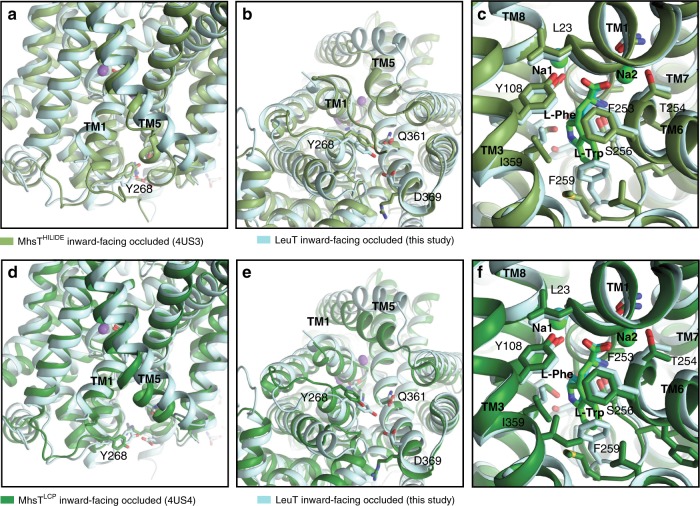 Fig. 6