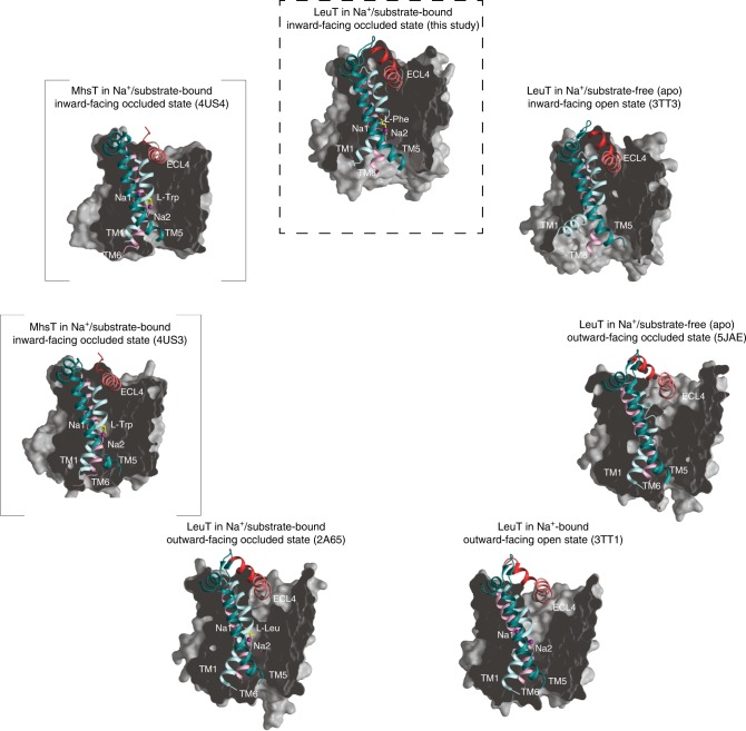 Fig. 7