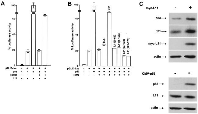 FIG. 6.