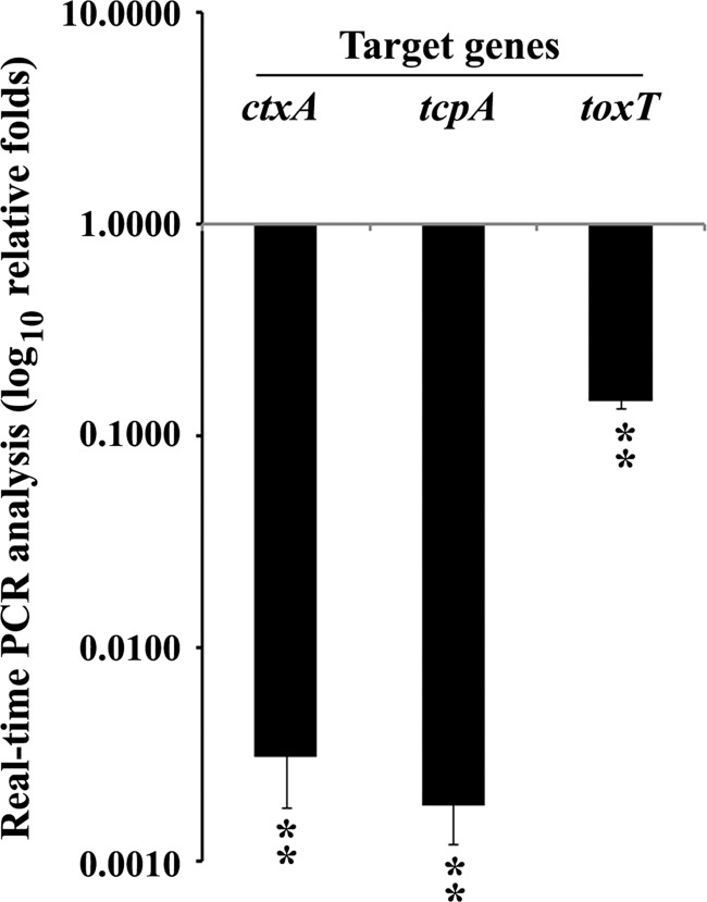 Fig 5