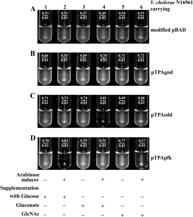 Fig 2