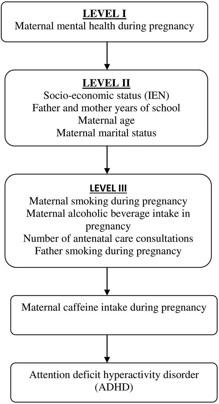 Figure 1