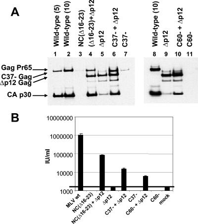 FIG. 6.