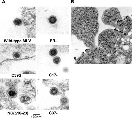 FIG. 4.