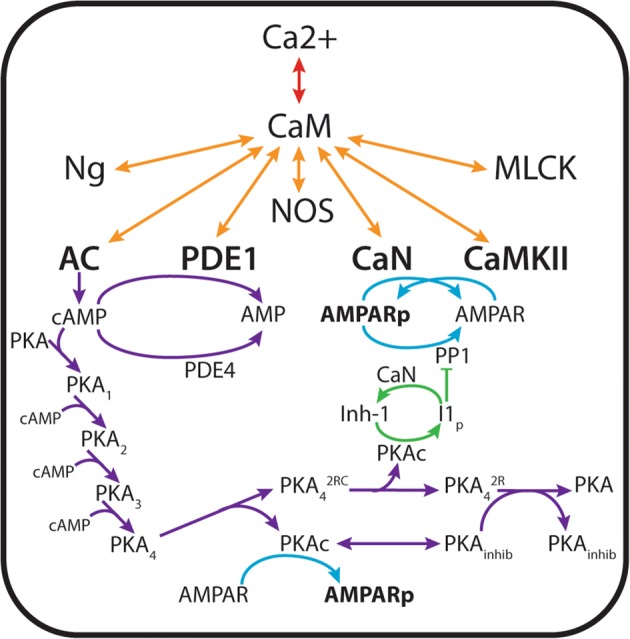 Figure 2