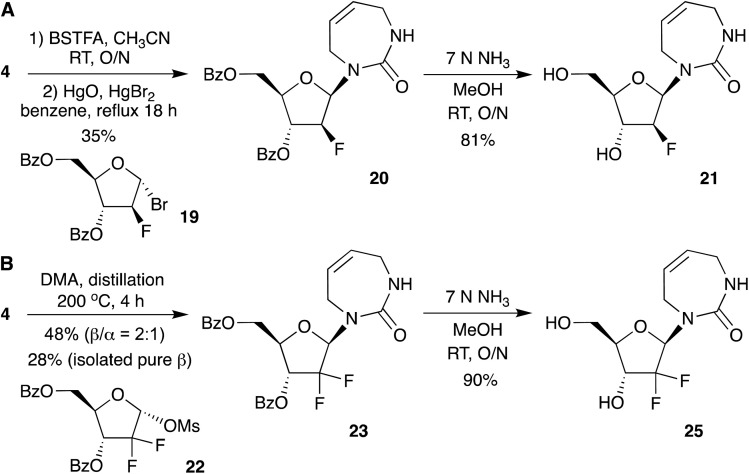 Scheme 5