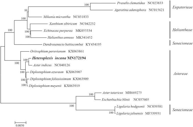 Figure 1.