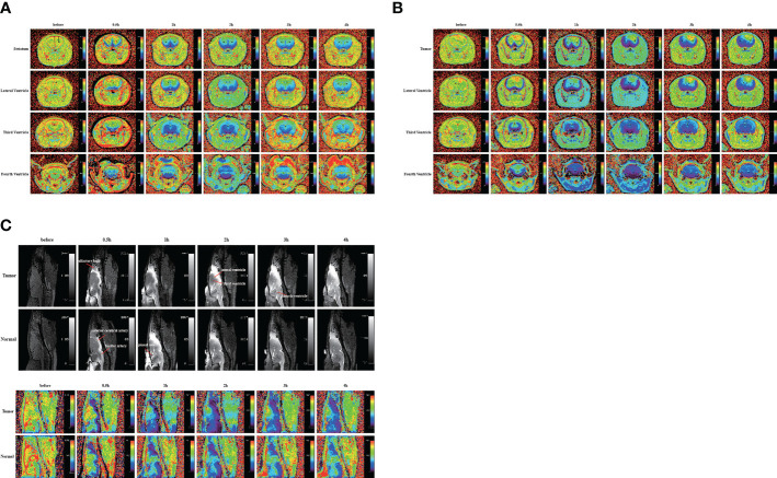 Figure 2