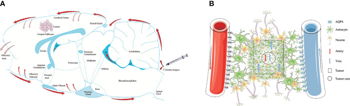 Figure 6