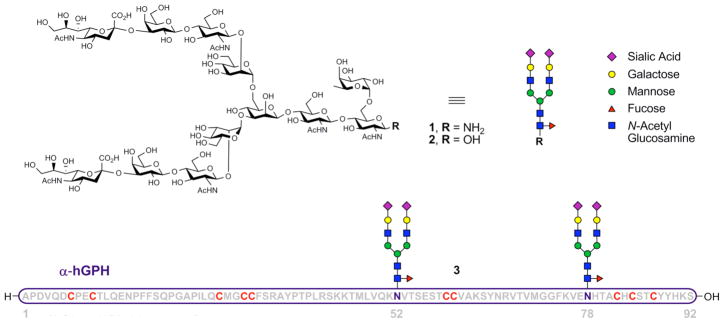 Scheme 2