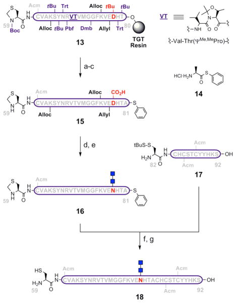 Scheme 5