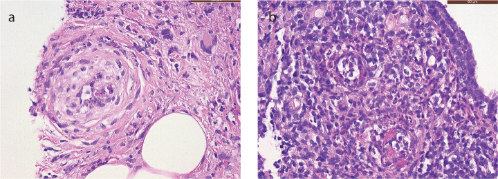 Figure 3. a, b