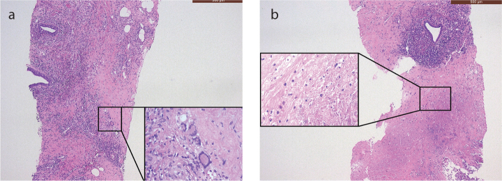 Figure 2. a, b