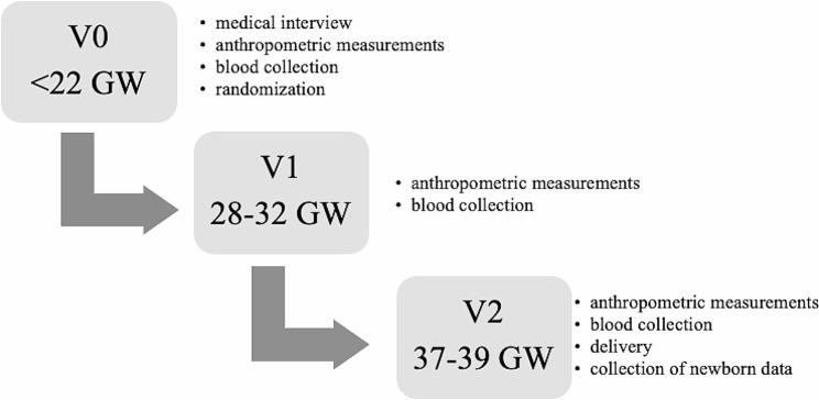 Fig. 2