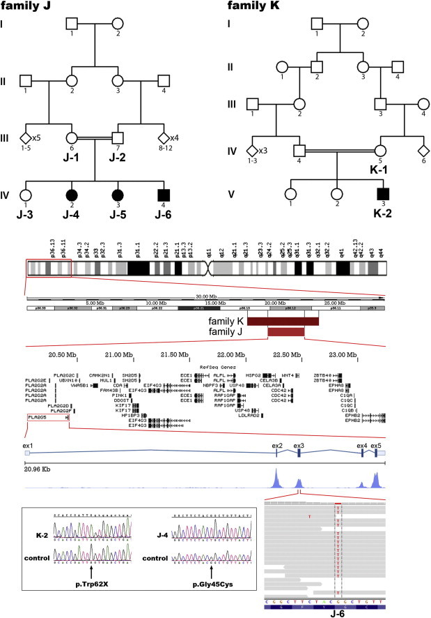 Figure 1