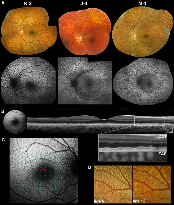 Figure 2