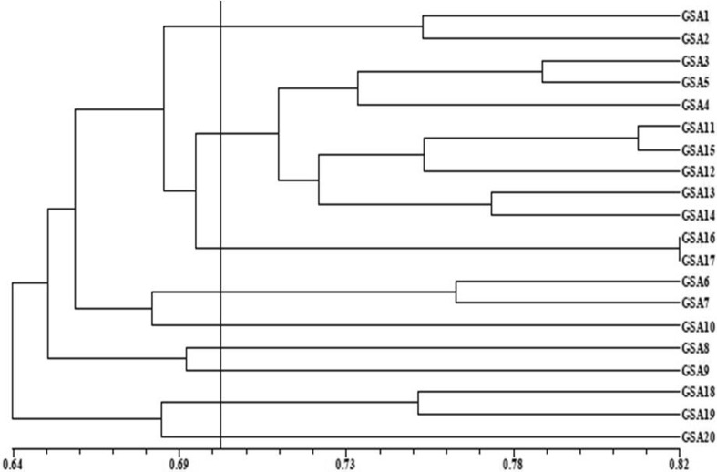 Fig. 3